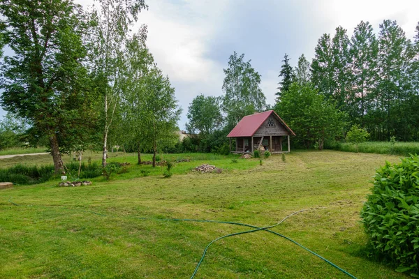 Vert Scène Jardin Été Campagne Avec Herbe Arbres Soleil Avec — Photo