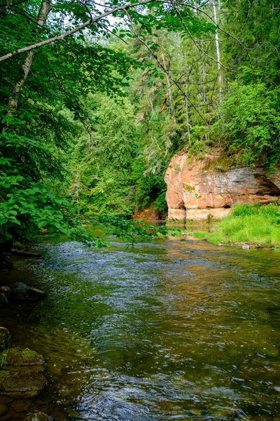 Zandstenen Kliffen Aan Rivier Amata Letland Zomer Waterstroom Met Hoog — Stockfoto