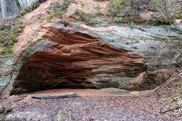 Lecho Del Río Vacío Principios Primavera Con Agua Fangosa Follaje — Foto de Stock