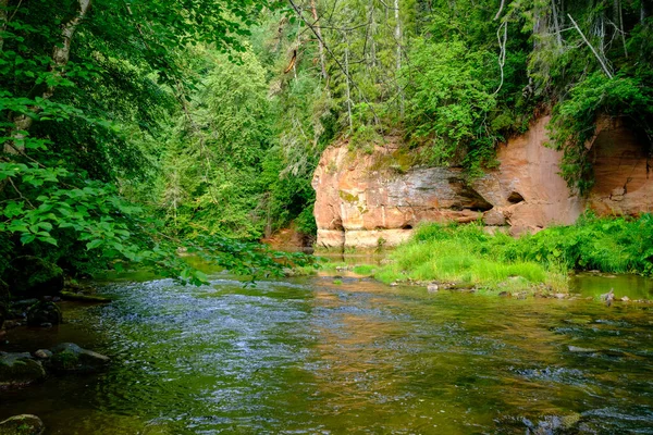 Sandsteinfelsen Fluss Amata Lettland Sommerwasserlauf Mit Hohem Pegel Und Grünem — Stockfoto