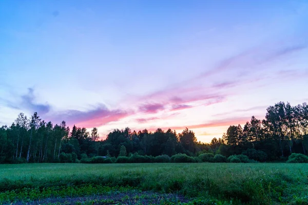 Verde Estate Giardino Scena Campagna Con Erba Alberi Sole Con — Foto Stock