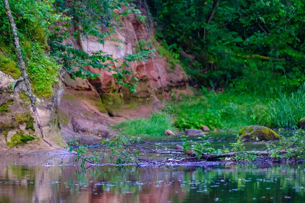 ラトビアのアマタ川の砂岩の崖高レベルと緑の葉を持つ夏の水の流れ — ストック写真