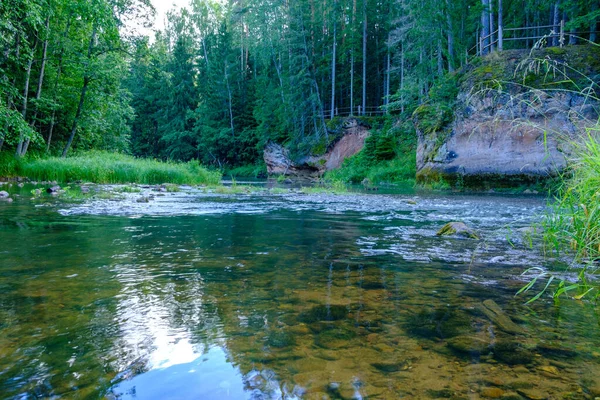 Sandstone Cliffs River Amata Latvia Summer Water Stream High Level — Stock Photo, Image