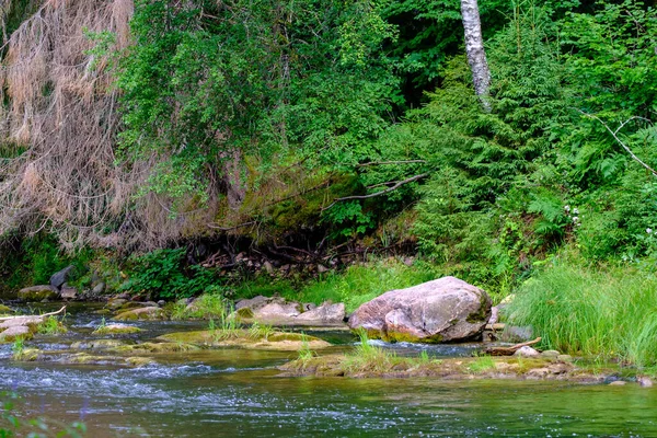 Sandsteinfelsen Fluss Amata Lettland Sommerwasserlauf Mit Hohem Pegel Und Grünem — Stockfoto