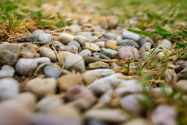 Pile Rocks Pebbles Green Meadow Summer Garden Countryside — Stock Photo, Image