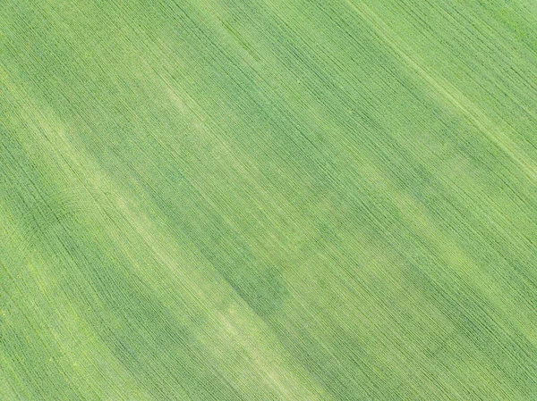 Campos Abstractos Patrones Campo Verano Con Red Carreteras — Foto de Stock