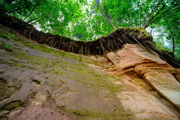 ラトビアのアマタ川の砂岩の崖高レベルと緑の葉を持つ夏の水の流れ — ストック写真