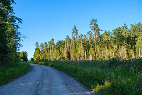 Endless Beautiful Country Gravel Road Perspective Dust Sun Rays Travel — Stock Photo, Image