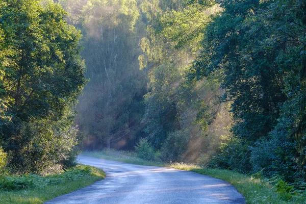 Endless Beautiful Country Gravel Road Perspective Dust Sun Rays Travel — Stock Photo, Image