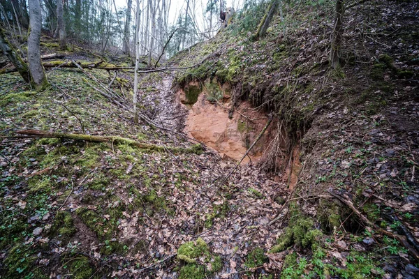 Tom Flodbädd Tidigt Våren Med Lerigt Vatten Och Blött Grönt — Stockfoto