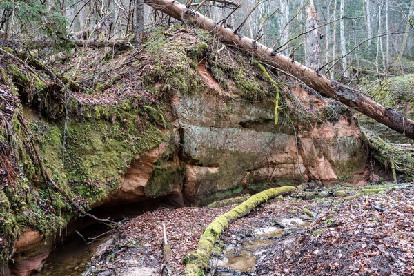 Lit Rivière Vide Début Printemps Avec Eau Boueuse Feuillage Vert — Photo