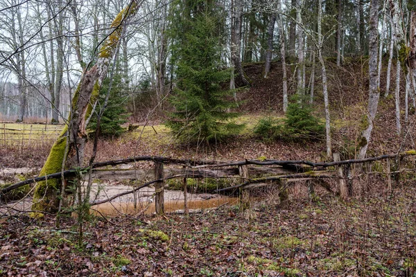 Lecho Del Río Vacío Principios Primavera Con Agua Fangosa Follaje — Foto de Stock