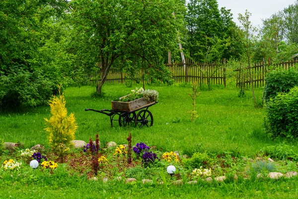 Verde Escena Jardín Verano Campo Con Hierba Árboles Sol Con — Foto de Stock