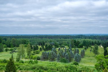 green meadow with storm clouds moving on dark sky before the rain
