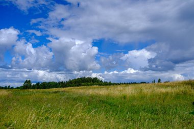 green meadow with storm clouds moving on dark sky before the rain