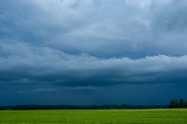 green meadow with storm clouds moving on dark sky before the rain