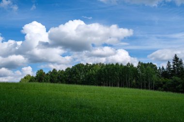 green meadow with storm clouds moving on dark sky before the rain