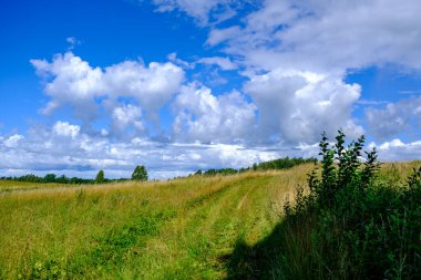 green meadow with storm clouds moving on dark sky before the rain