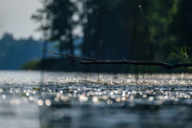 Yaz gölü su yüzeyi düşük perspektiften soyutlanır. Kabarcıklar ve yemeklerle.