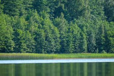 Yaz gölü su yüzeyi düşük perspektiften soyutlanır. Kabarcıklar ve yemeklerle.