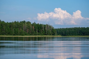 Yaz gölü su yüzeyi düşük perspektiften soyutlanır. Kabarcıklar ve yemeklerle.