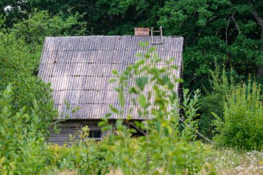 Yazın bahçe bahçesinde eski binalar, çitlerle ve çalılarla süslemeler.