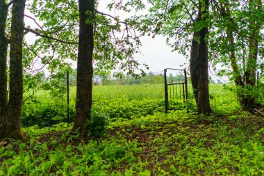 Yazın bahçe bahçesinde eski binalar, çitlerle ve çalılarla süslemeler.