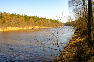 Kırsal orman nehri kıyılarında mavi su ve kayalıklarla ilkbahar bitkileri
