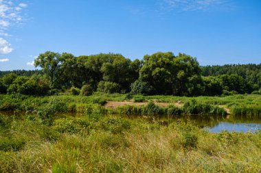 Yeşil yapraklı ormandaki manzaralı yaz nehri manzarası ve akarsudaki kum ve kayalarla alçak su.