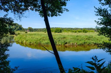 Yeşil yapraklı ormandaki manzaralı yaz nehri manzarası ve akarsudaki kum ve kayalarla alçak su.