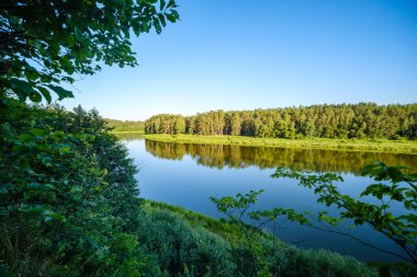 Yeşil yapraklı ormandaki manzaralı yaz nehri manzarası ve akarsudaki kum ve kayalarla alçak su.