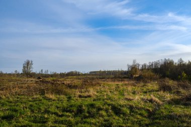 Yeşil çayır ve mavi gökyüzü olan kır manzarası. Basit kırsal
