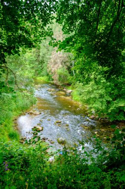 Yaz mevsiminde, taşlı ve alçak sulu yeşil ormanlık bir nehir deresi.