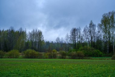 Yeşil çayır ve mavi gökyüzü olan kır manzarası. Basit kırsal