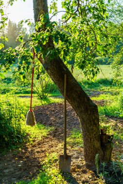 Yazın bahçe bahçesinde eski binalar, çitlerle ve çalılarla süslemeler.