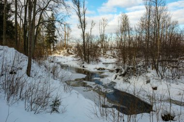 Buz, kar ve buzun altındaki kahverengi suyla ormandaki donmuş nehir manzarası. Kırsal kesimde kış yağmuru