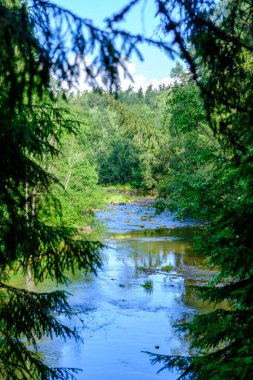 Yaz mevsiminde, taşlı ve alçak sulu yeşil ormanlık bir nehir deresi.