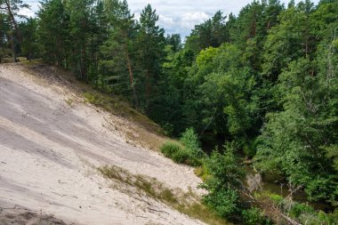 Letonya 'daki Gauja ormanının kıyısındaki kumtaşı kayalıkları.