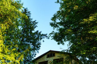 Belirtilmemiş bina genel mimarisi dış ayrıntıları. desenli