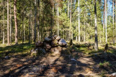 Doğal yaz ormanı çalılar, ağaç gövdeleri ve yerde yosunlar ile doludur. Doğa, kuşlar ve hayvanlar için saklıdır.