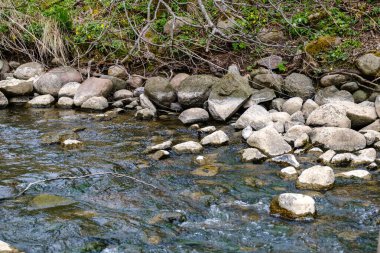 Kırsal orman nehri kıyılarında mavi su ve kayalıklarla ilkbahar bitkileri