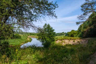 Yeşil yapraklı ormandaki manzaralı yaz nehri manzarası ve akarsudaki kum ve kayalarla alçak su.