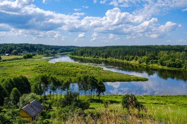 Yeşil yapraklı ormandaki manzaralı yaz nehri manzarası ve akarsudaki kum ve kayalarla alçak su.