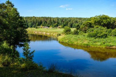 Yeşil yapraklı ormandaki manzaralı yaz nehri manzarası ve akarsudaki kum ve kayalarla alçak su.