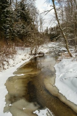 Buz, kar ve buzun altındaki kahverengi suyla ormandaki donmuş nehir manzarası. Kırsal kesimde kış yağmuru