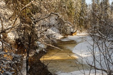 Buz, kar ve buzun altındaki kahverengi suyla ormandaki donmuş nehir manzarası. Kırsal kesimde kış yağmuru