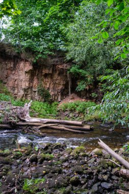 Letonya 'daki Gauja ormanının kıyısındaki kumtaşı kayalıkları.