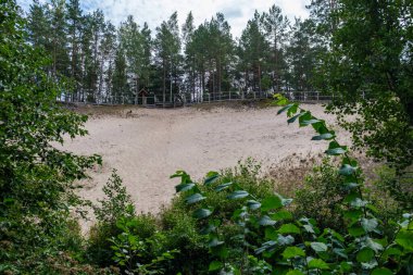 Letonya 'daki Gauja ormanının kıyısındaki kumtaşı kayalıkları.