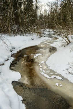 Buz, kar ve buzun altındaki kahverengi suyla ormandaki donmuş nehir manzarası. Kırsal kesimde kış yağmuru