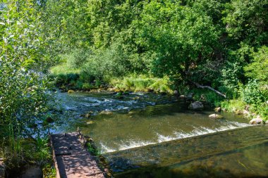 Yavaş orman nehri Yazın yeşil ormanlık kayalar derede ve küçük şelaleler